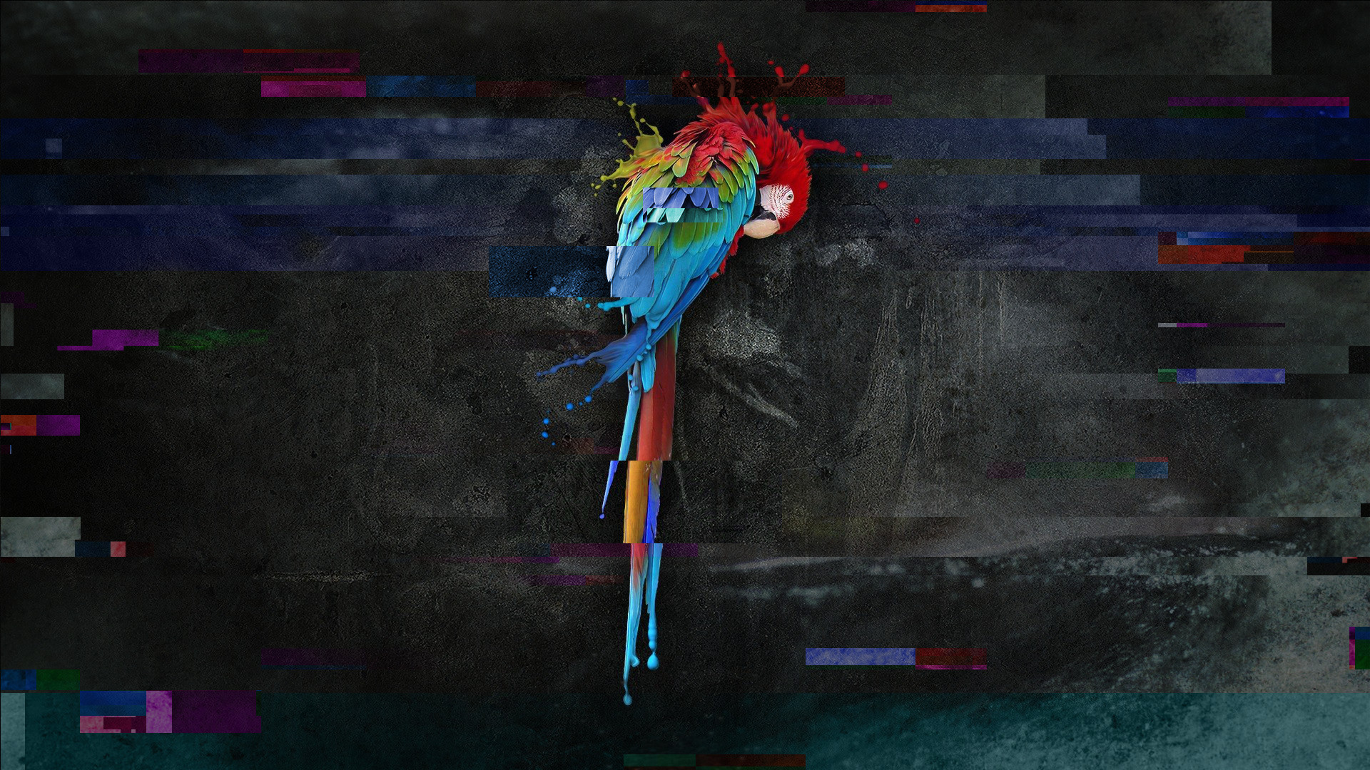 Parrot Security Os Wallpaper Hd 1920x1080 Download Hd Wallpaper Images