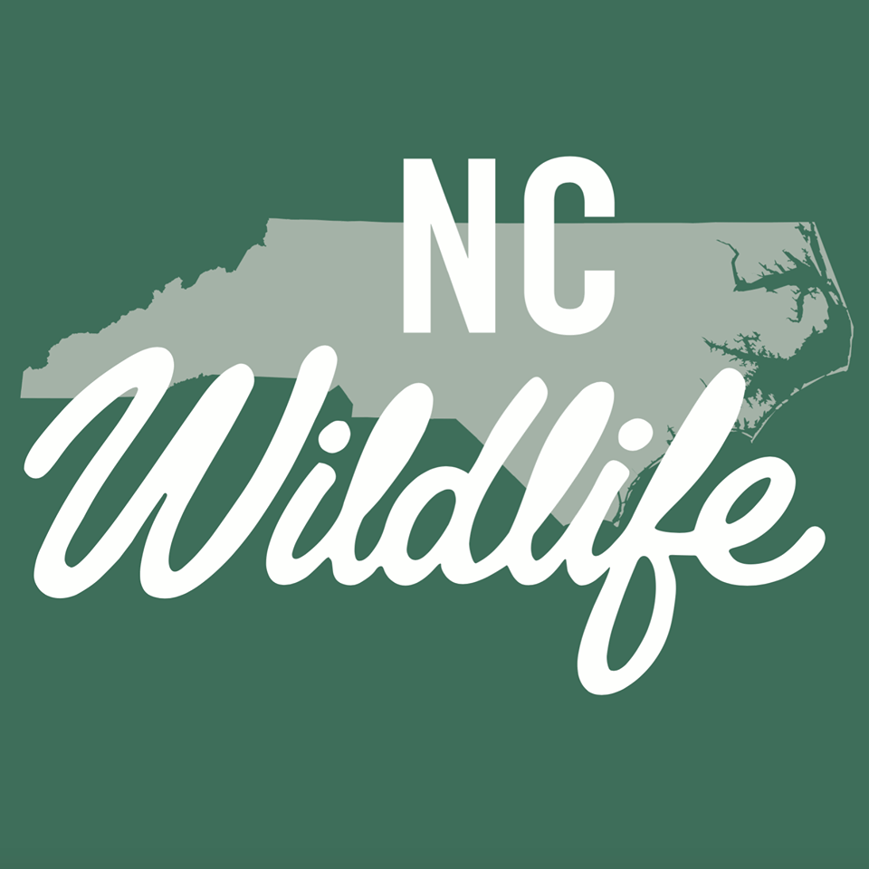 Free Programs at NC Wildlife Education Centers in July The Grey Area News