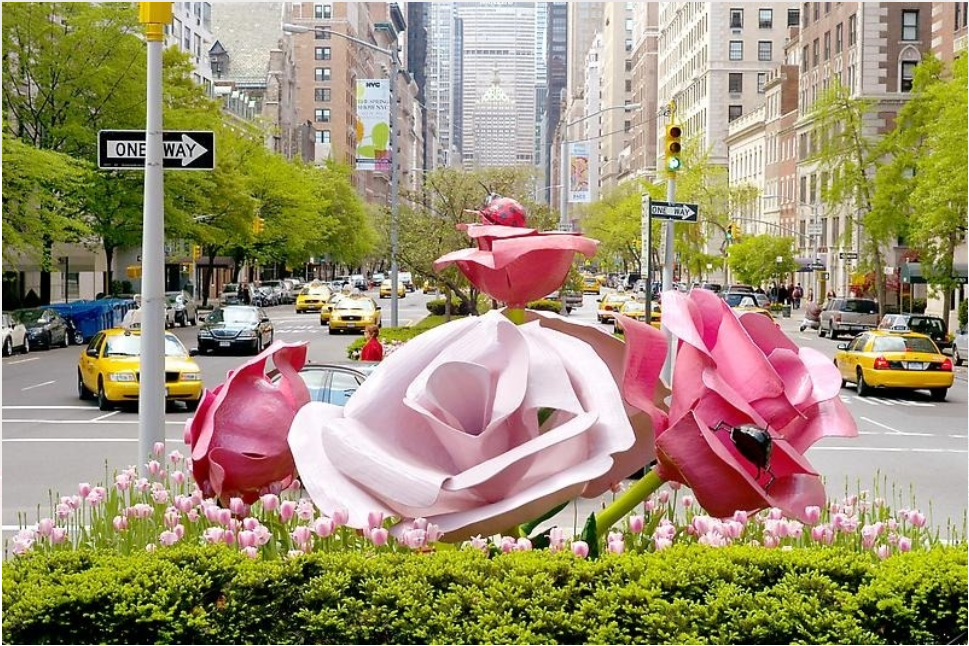 The Roses: Will Ryman on Park Avenue - Grey Art Museum