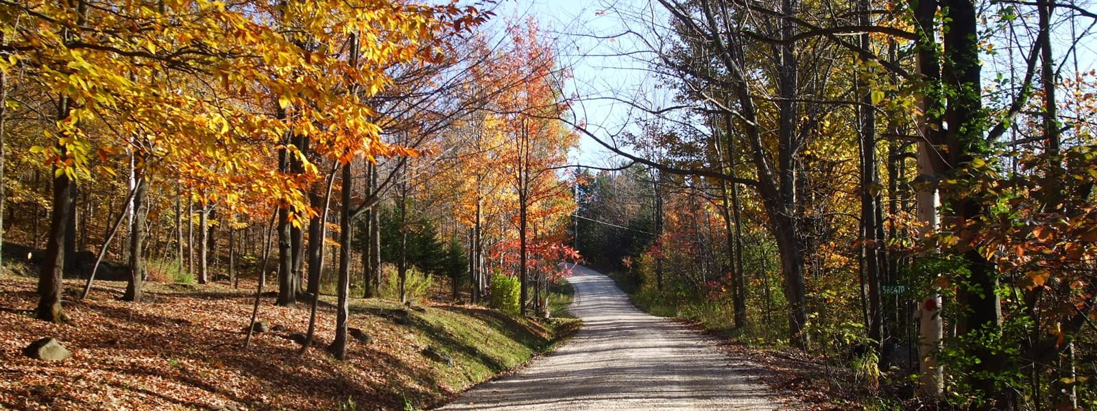 Dundalk Ontario Main Street East Dundalk Ont Digital Archive Toronto