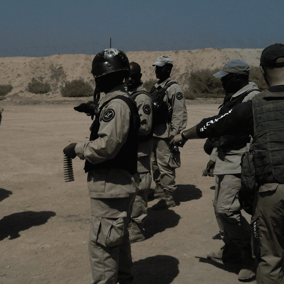 Triple Canopy A Deep Dive