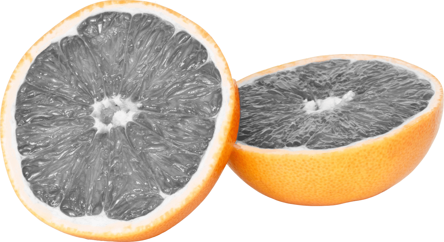 Grey Fruit Oficjalna Strona Zespołu