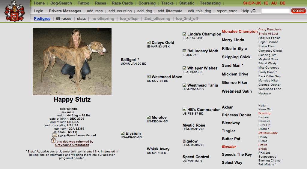 Greyhound Crossroads Finding Information On Your Greyhound Online