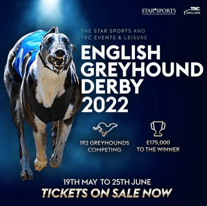 English Greyhound Derby 2022 GREYHOUNDINFO