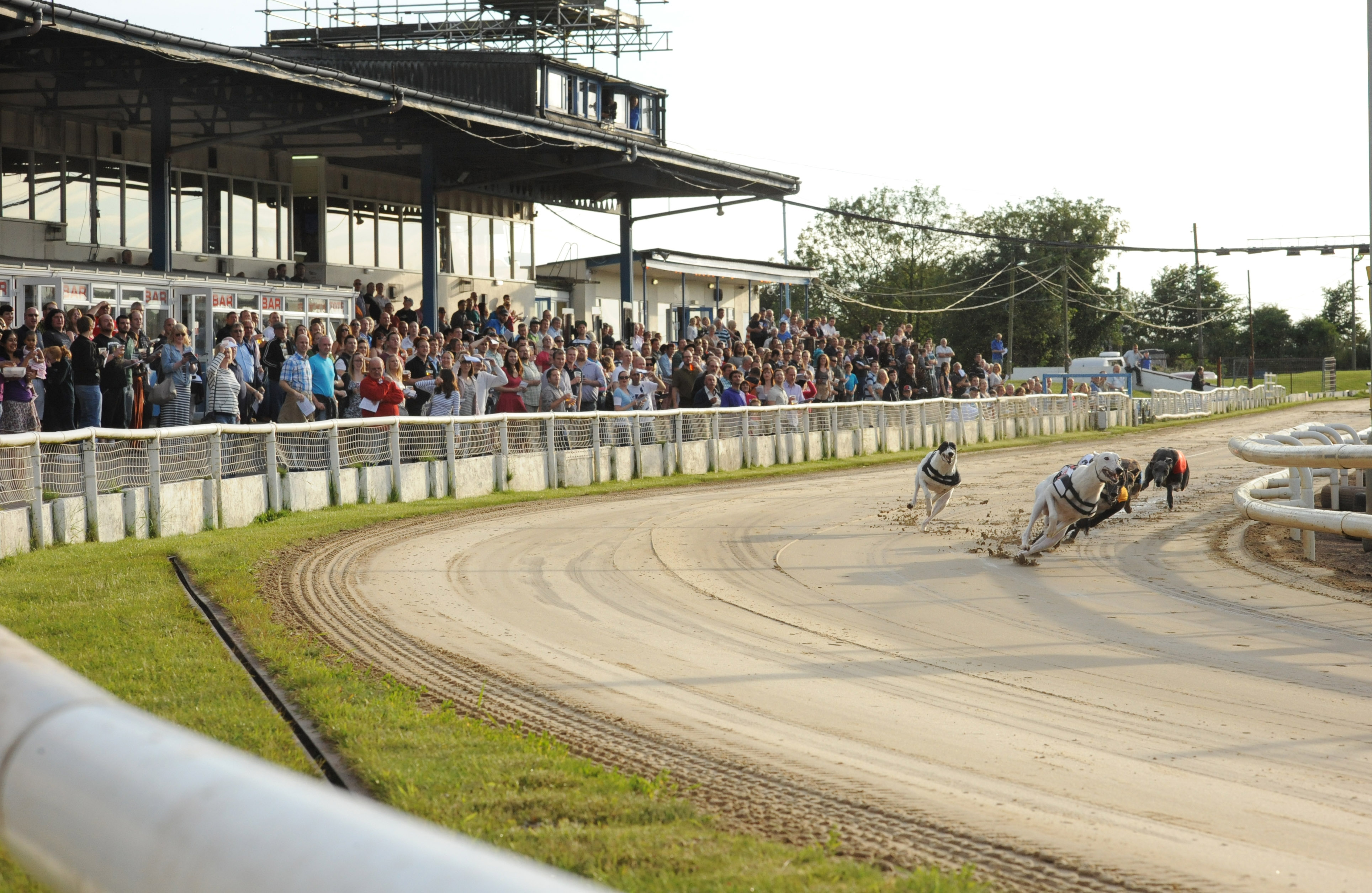 SWINDON OPEN TO NEW IDEAS Greyhound Star News from the