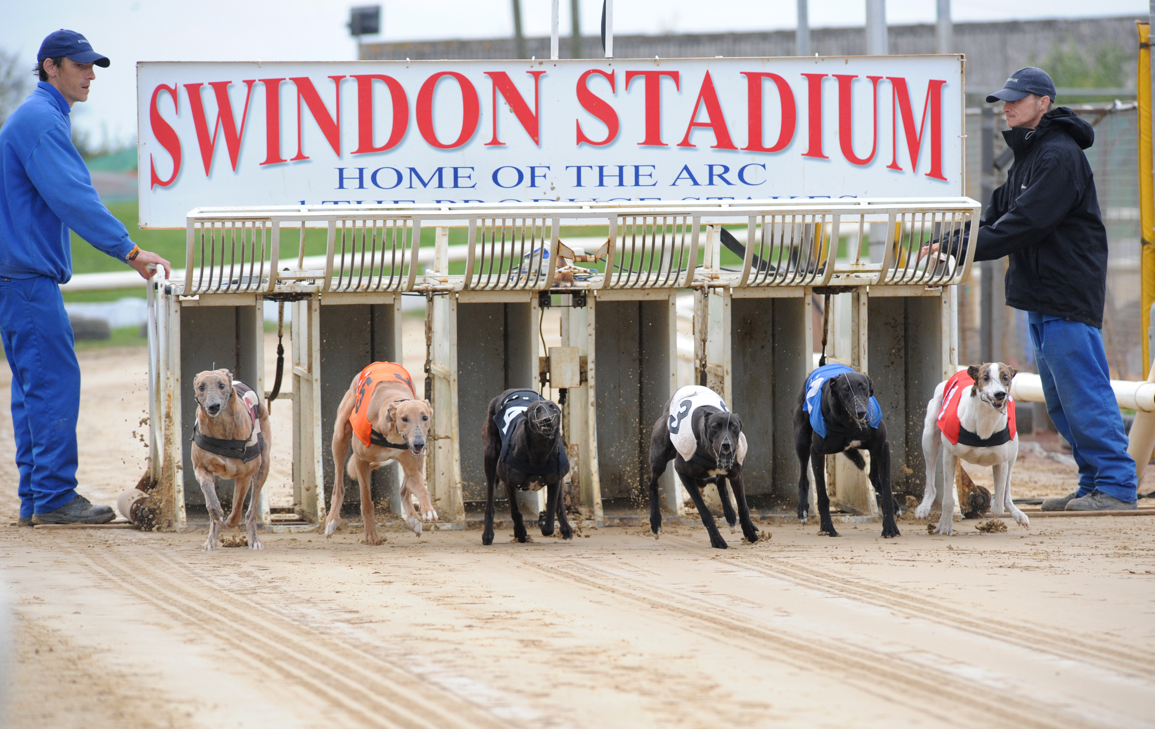 Race and staff opportunities at Swindon Greyhound Star