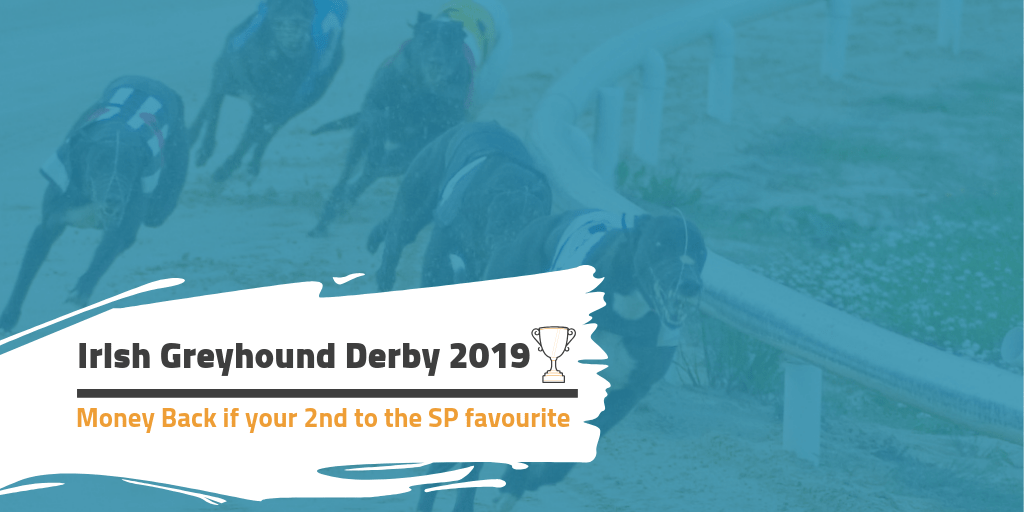 SHELBOURNE RM MARKS YOUR DERBY CARD Greyhound Star News from the Greyhound Industry