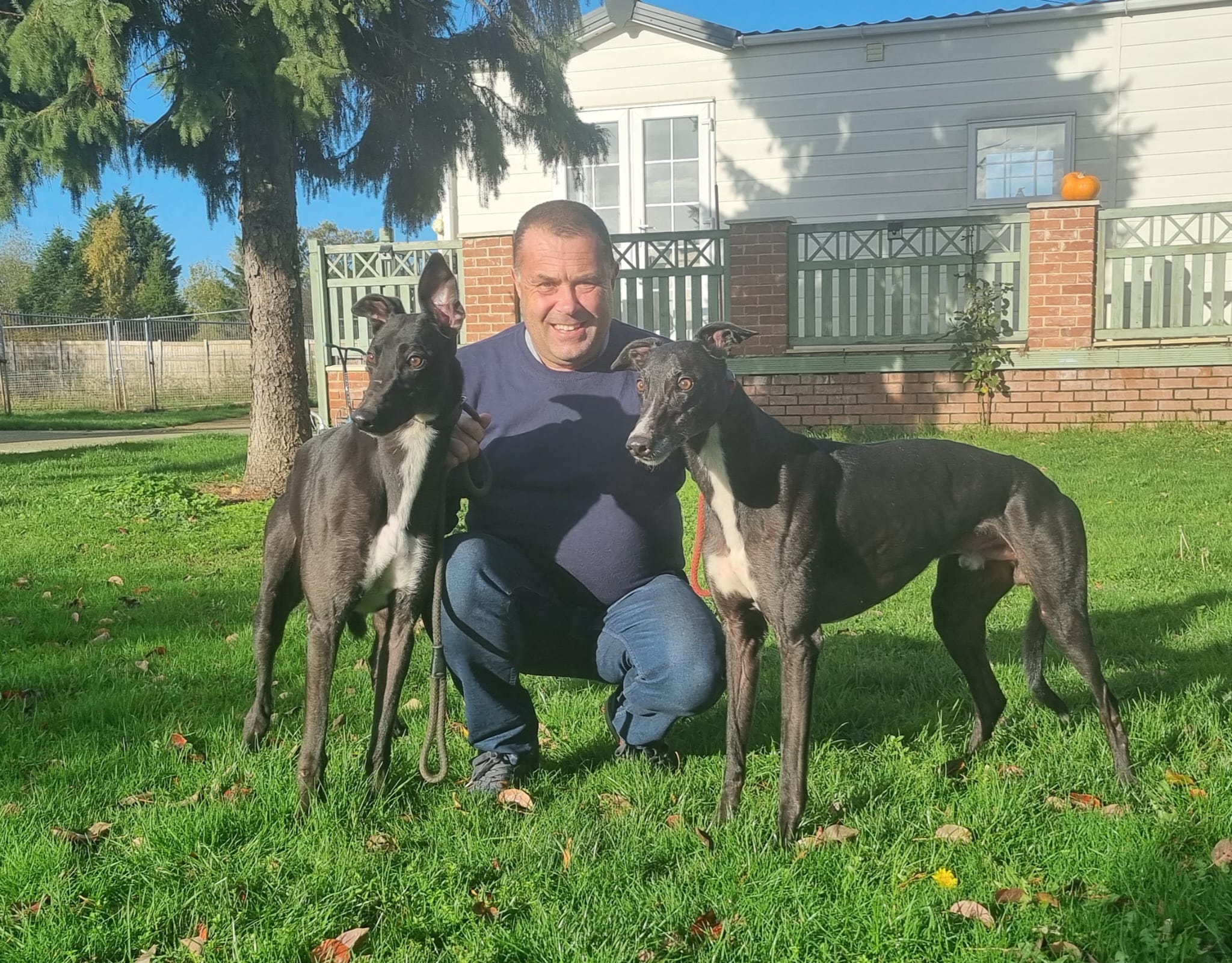 BREEDING GROUND 42 YEARS OF TOUGH REARING Greyhound Star News from
