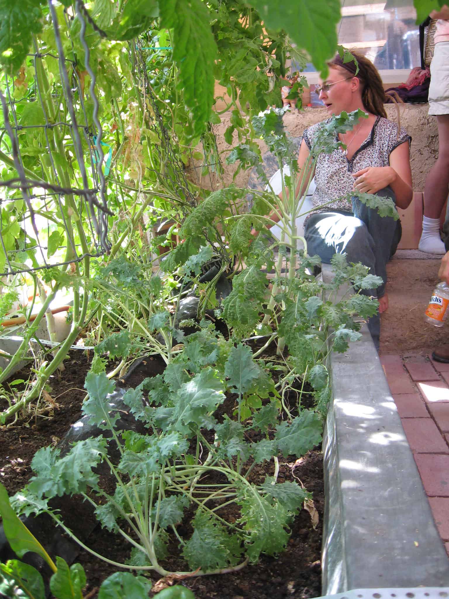 Greywater Systems in Freezing Climates Greywater Action