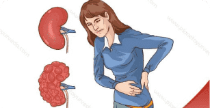 Services Renal & Hypertension Care