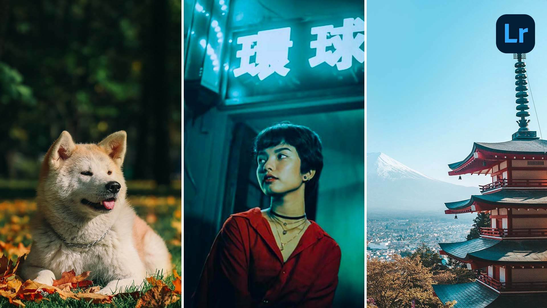 23 Japanese Presets for Lightroom (Film, Japan Tone & More)