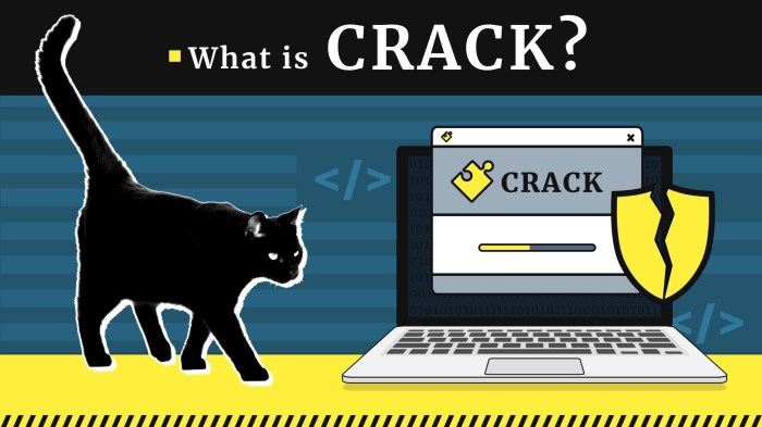 Why Is It A Good Idea To Never Use Cracked Software What is cracked version of software