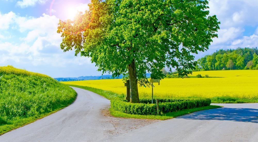 GridleyHoran Funeral Home, Inc.