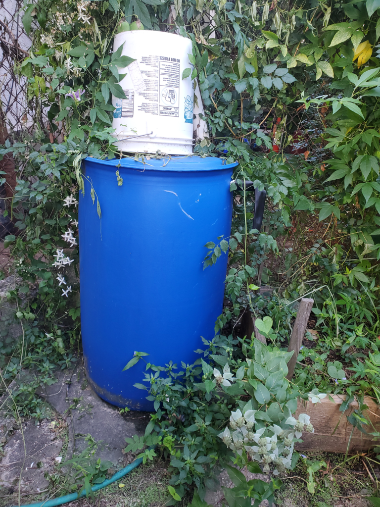 Do the rain barrels we see on Philly’s streets actually reduce