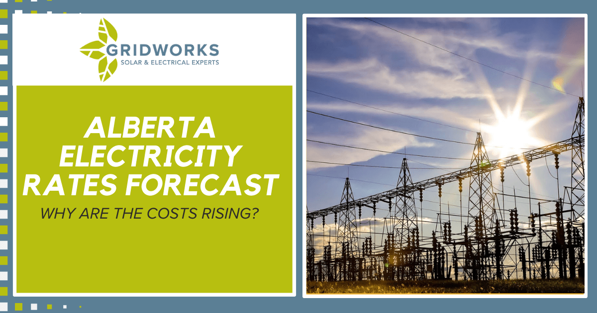 Alberta Electricity Rates Forecast 2024