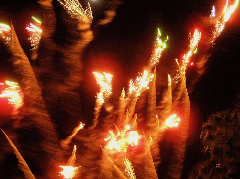 Mexican Alarm Clocks lifelessons a blog by Judy DykstraBrown