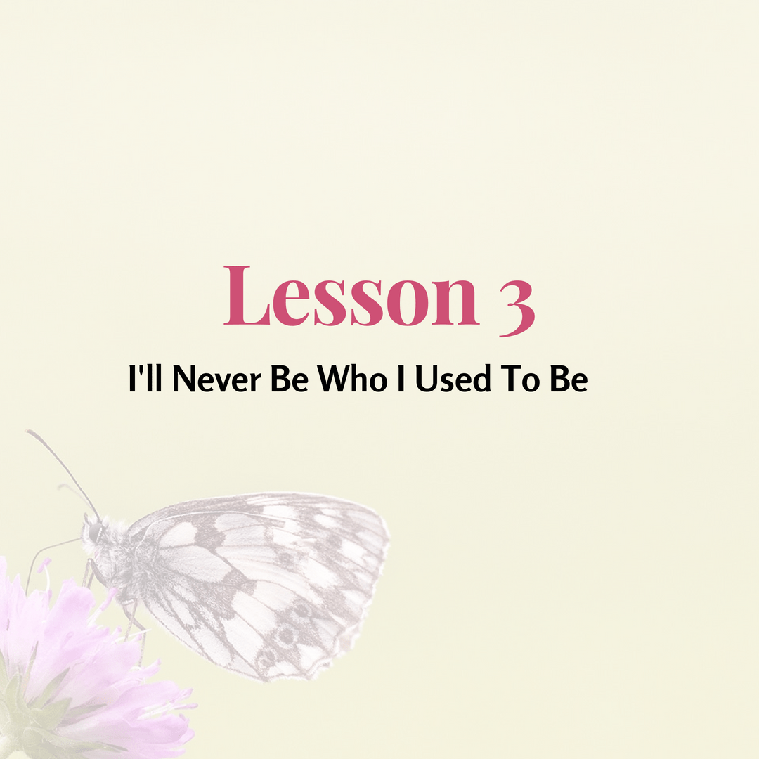 Lesson 3 i ll never be who i used to be grieving parents support network