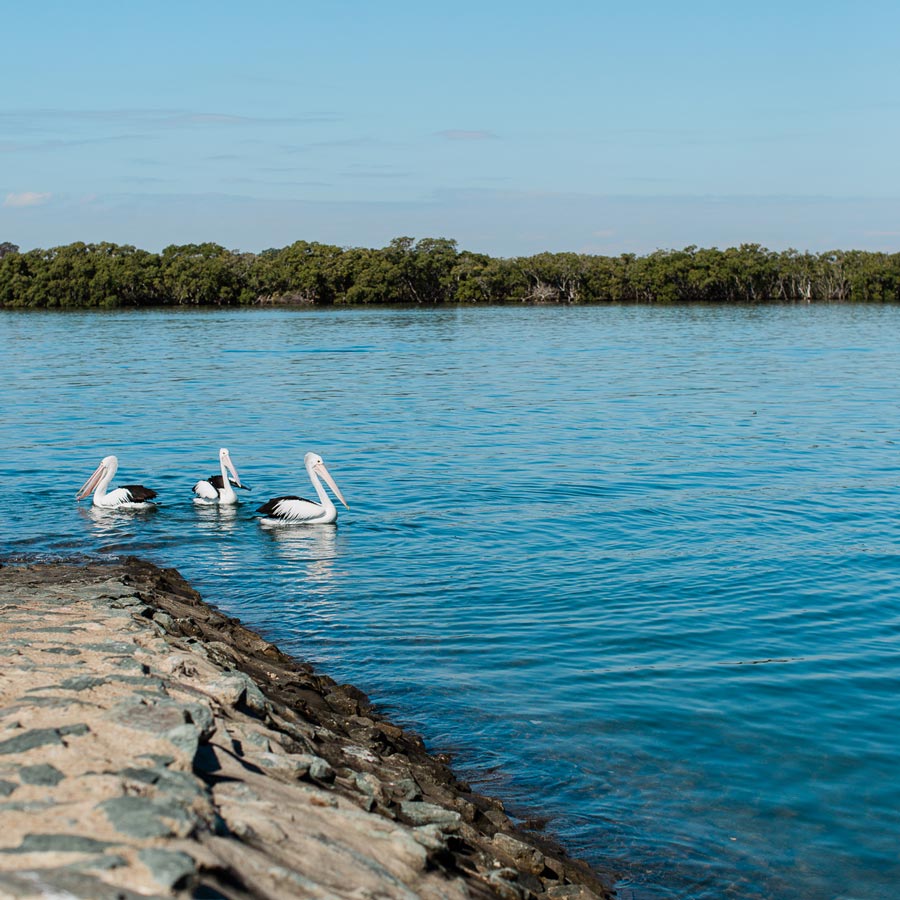 Griffin Crest Estate Land Griffin Oxmar Properties