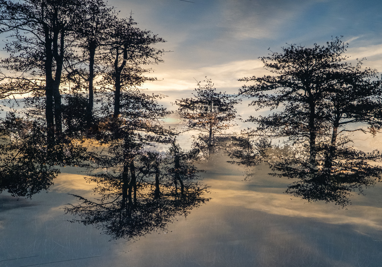 Bonnie Newman First Light Griffin Museum of Photography