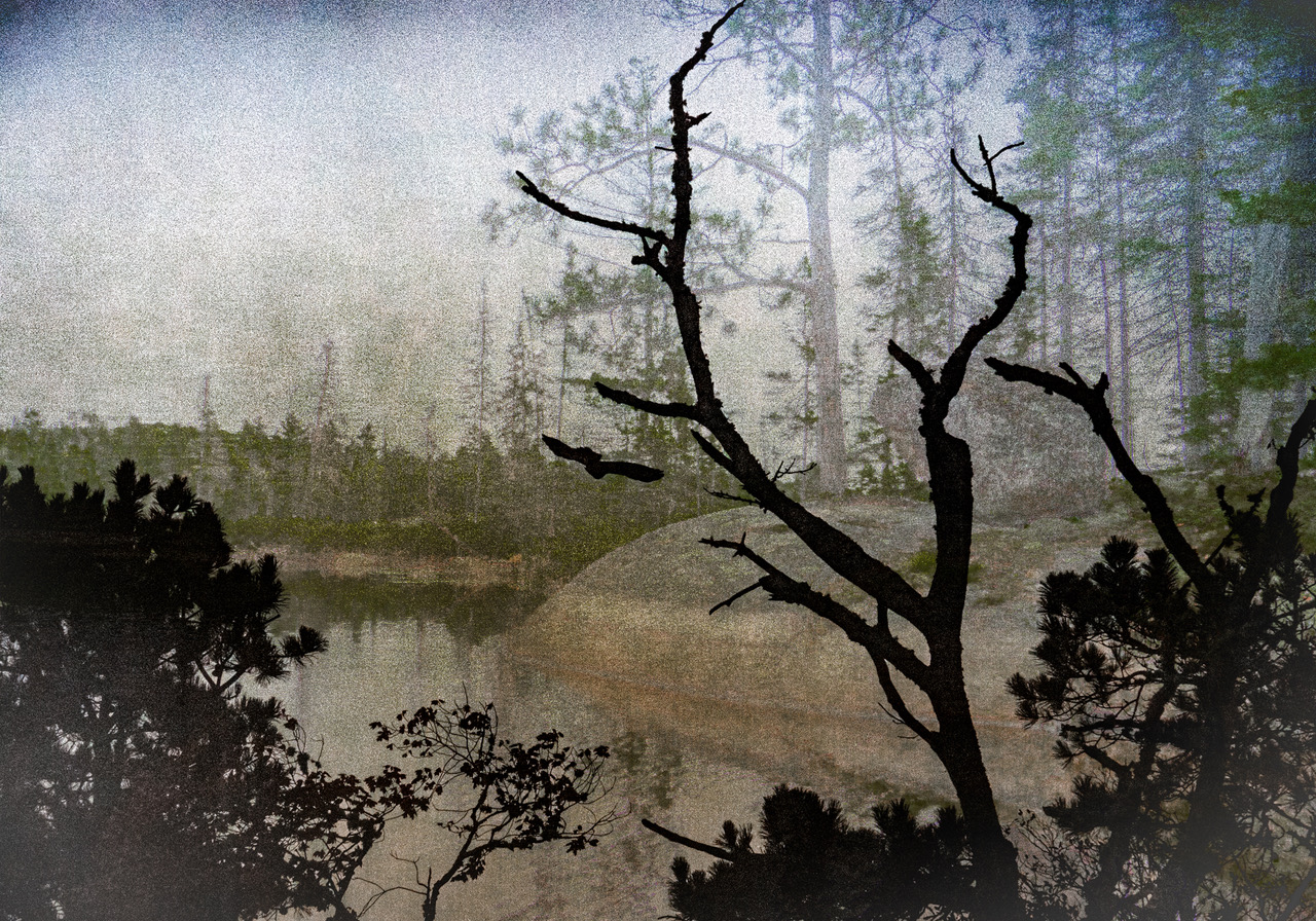 Bonnie Newman Griffin State of Mind Griffin Museum of Photography