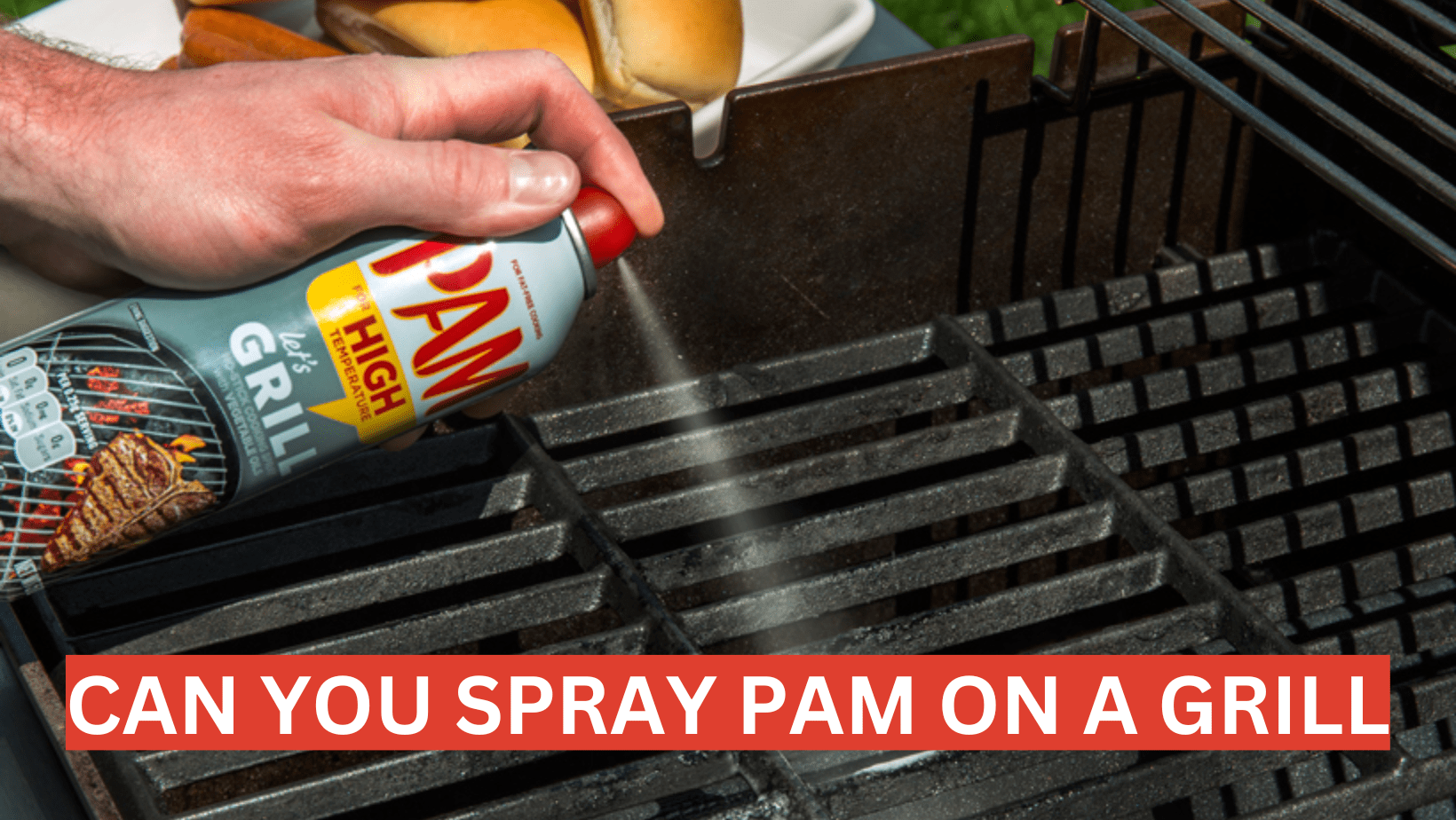 Safe Grilling Can You Spray PAM On A Grill Grill Cuisines