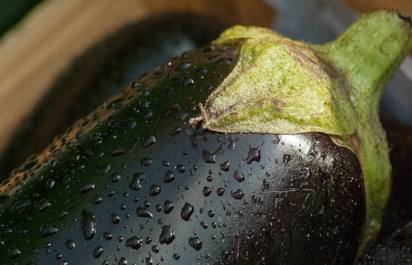 How to Sweat an Eggplant? 2 Methods
