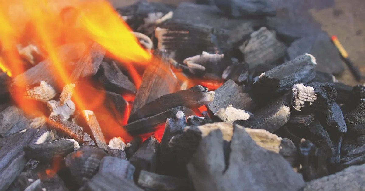 Exploring the Differences BBQ Charcoal vs. Activated Charcoal Barbecue