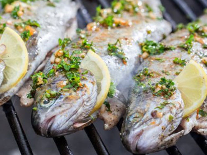 Basil Rosemary Grilled Trout Grilling Explained