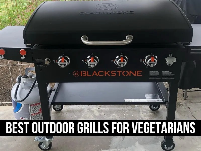 Best Outdoor Grills for Vegetarians [Tested & Approved]