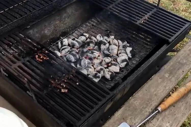 How To Put Out Charcoal After Grilling? (Easy Guide)