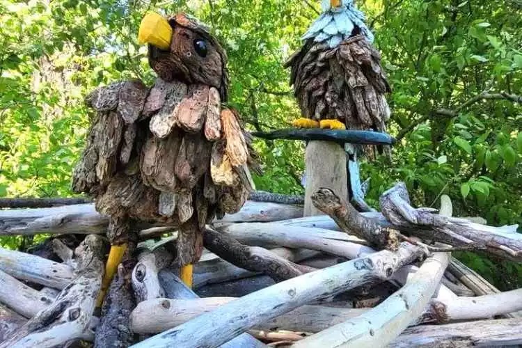 Is Eucalyptus Smoke Toxic? (Best Answer!)