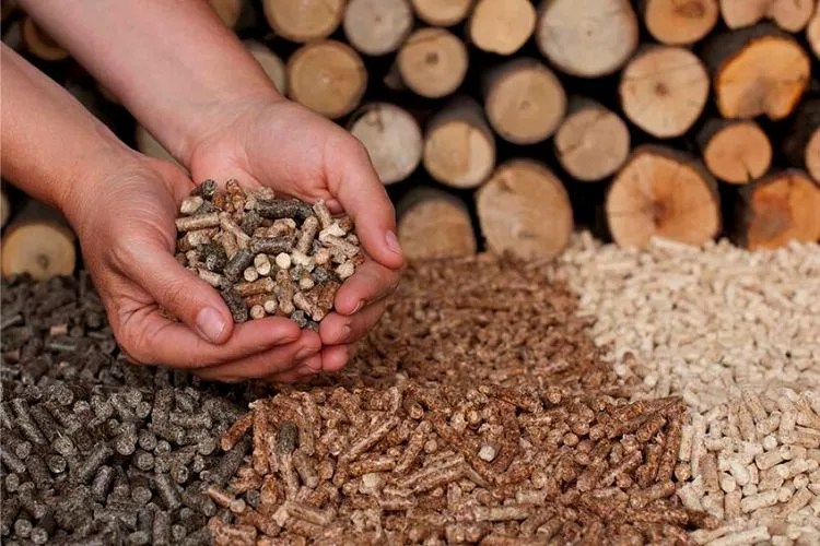 Do Wood Pellets Go Bad? (Expert's Take)