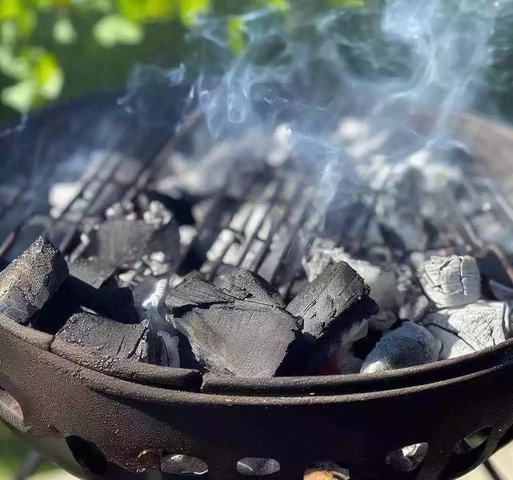 Why Is My Charcoal Grill Smoking So Much? 8 Possible Reasons