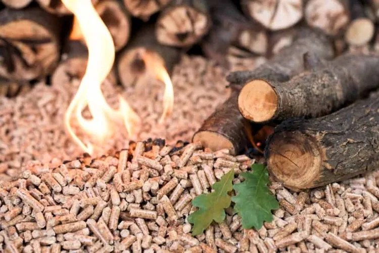 How Long Does Traeger Pellets Last? (Accurate Estimate)