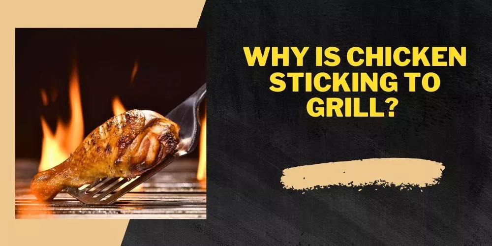 Why Is Chicken Sticking To Grill? (Easy Steps To Prevent)