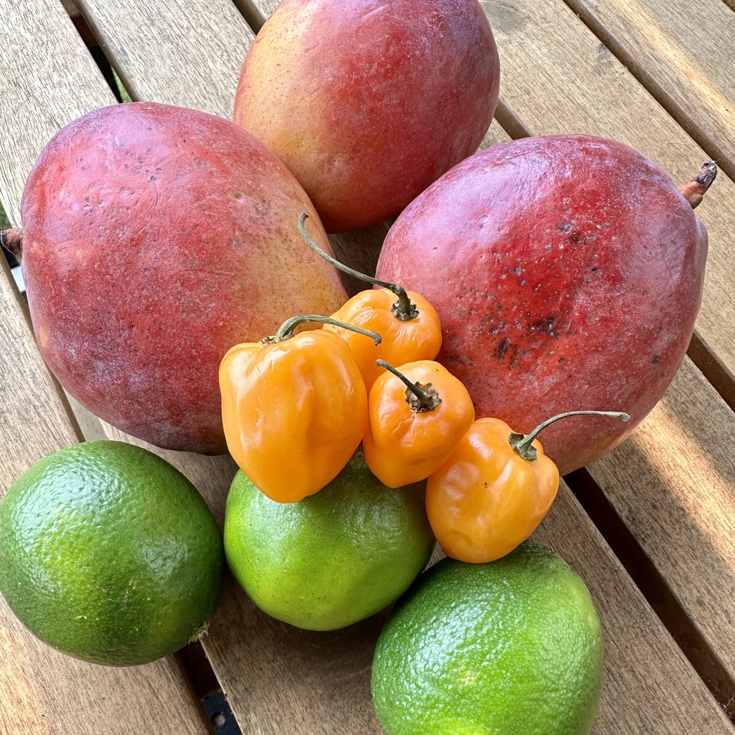 Mango Habanero Wings Grillin With Dad