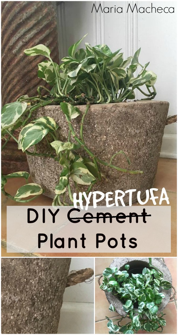 DIY Hypertufa Plant Pots • Grillo Designs