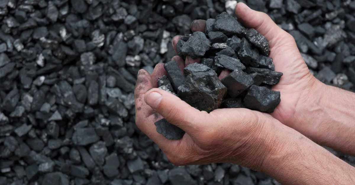 The 7 Best Lump Charcoals and buying guide in 2022 Grills For BBQ