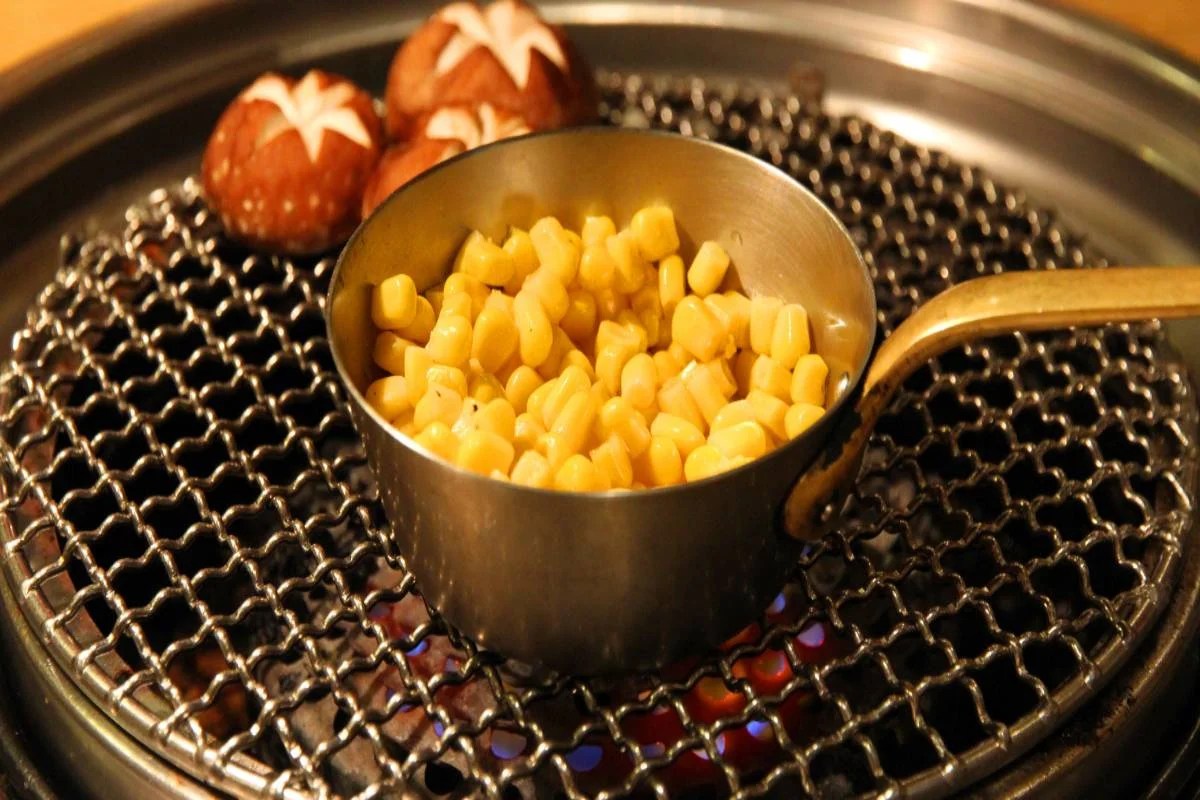 Best small grills reviews and buying guide in 2021 Grills For BBQ