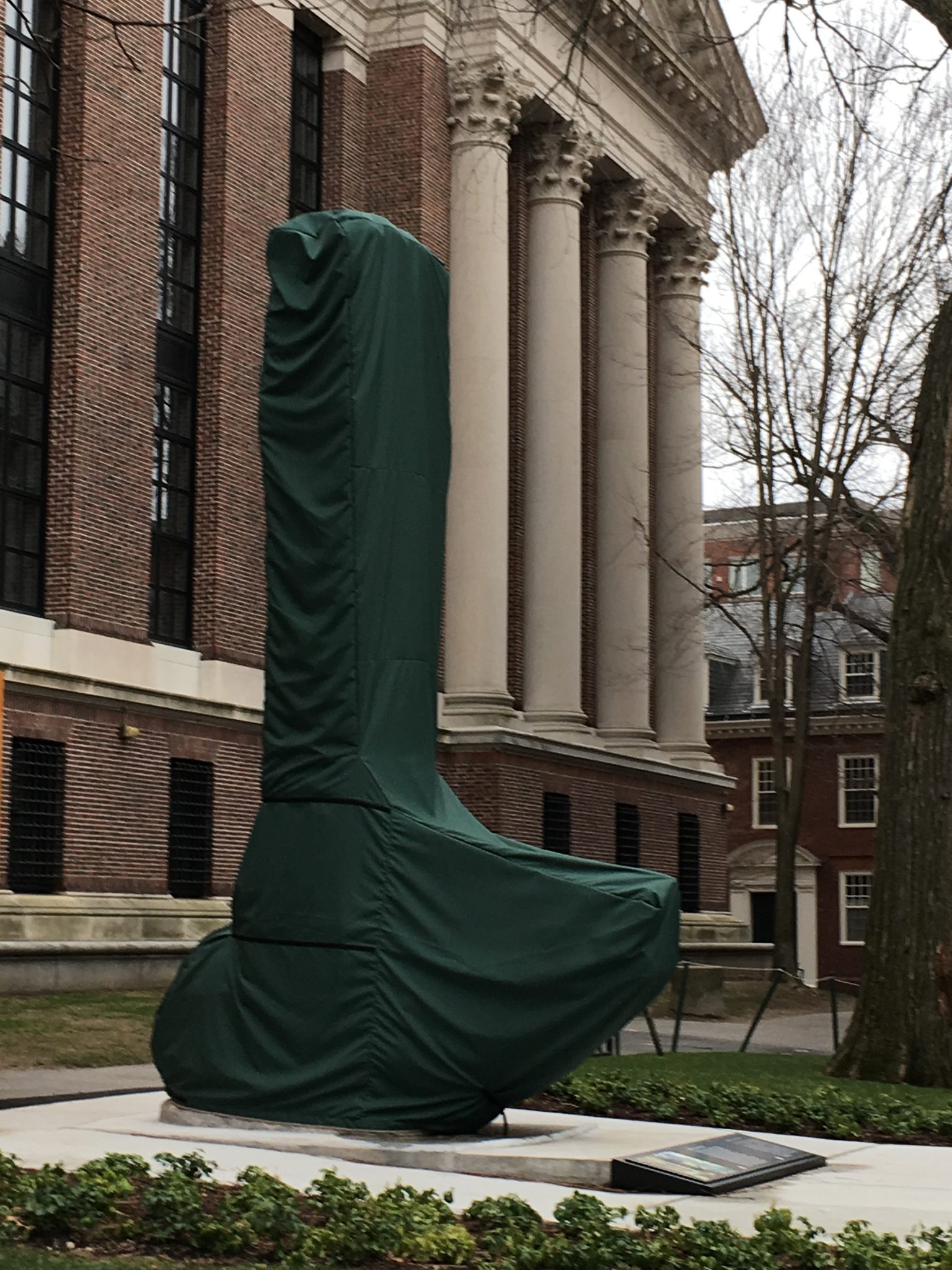 Statue Cover GrillWraps