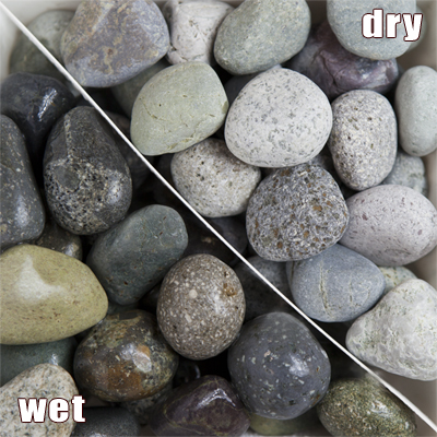 化粧砂利は植物に合うお洒落アイテム！鉢のマルチングやディスプレイに 