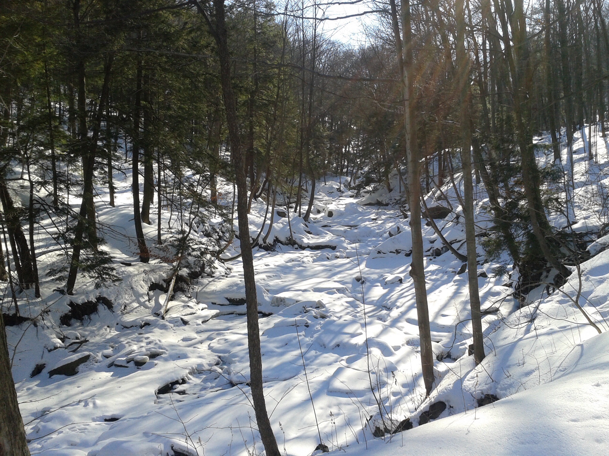 Bruce Trail Grimsby Active Transportation