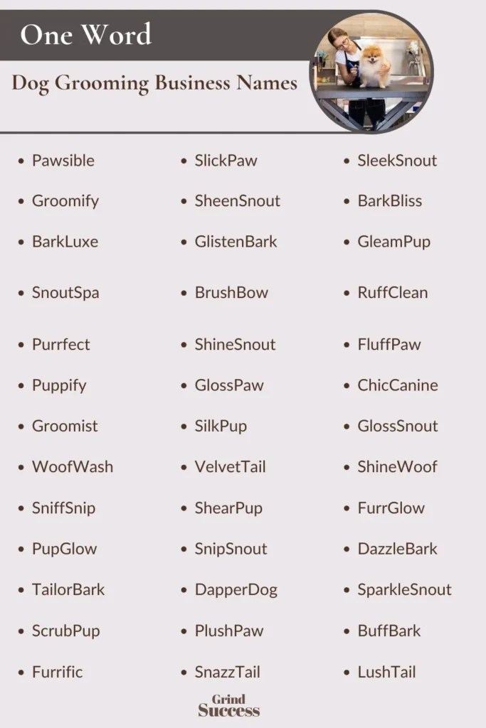 999 Dog Grooming Business Name Ideas + Generator
