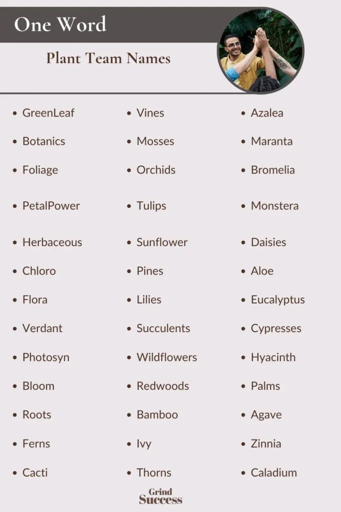 860+ Catchy Plant Team Names For Your Group [2023]
