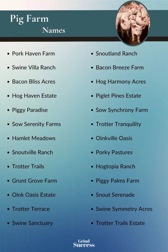 900 Pig Farm Name Ideas + Generator [2024]