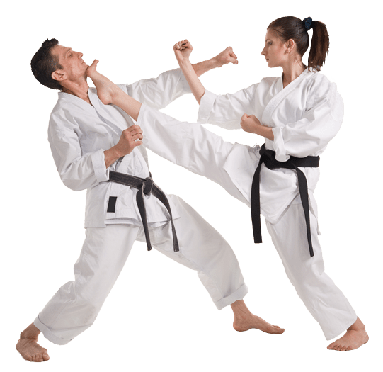 Karate Mats Manufacturer Supplier Noida Delhi India Online