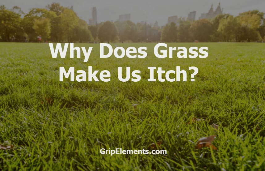 Why Does Grass Make Us Itch? Facts and Remedies