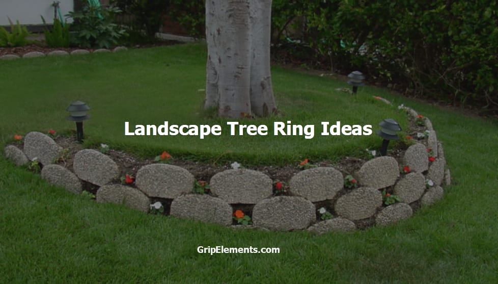7 Landscape Tree Ring Ideas for More Beautiful Gardens