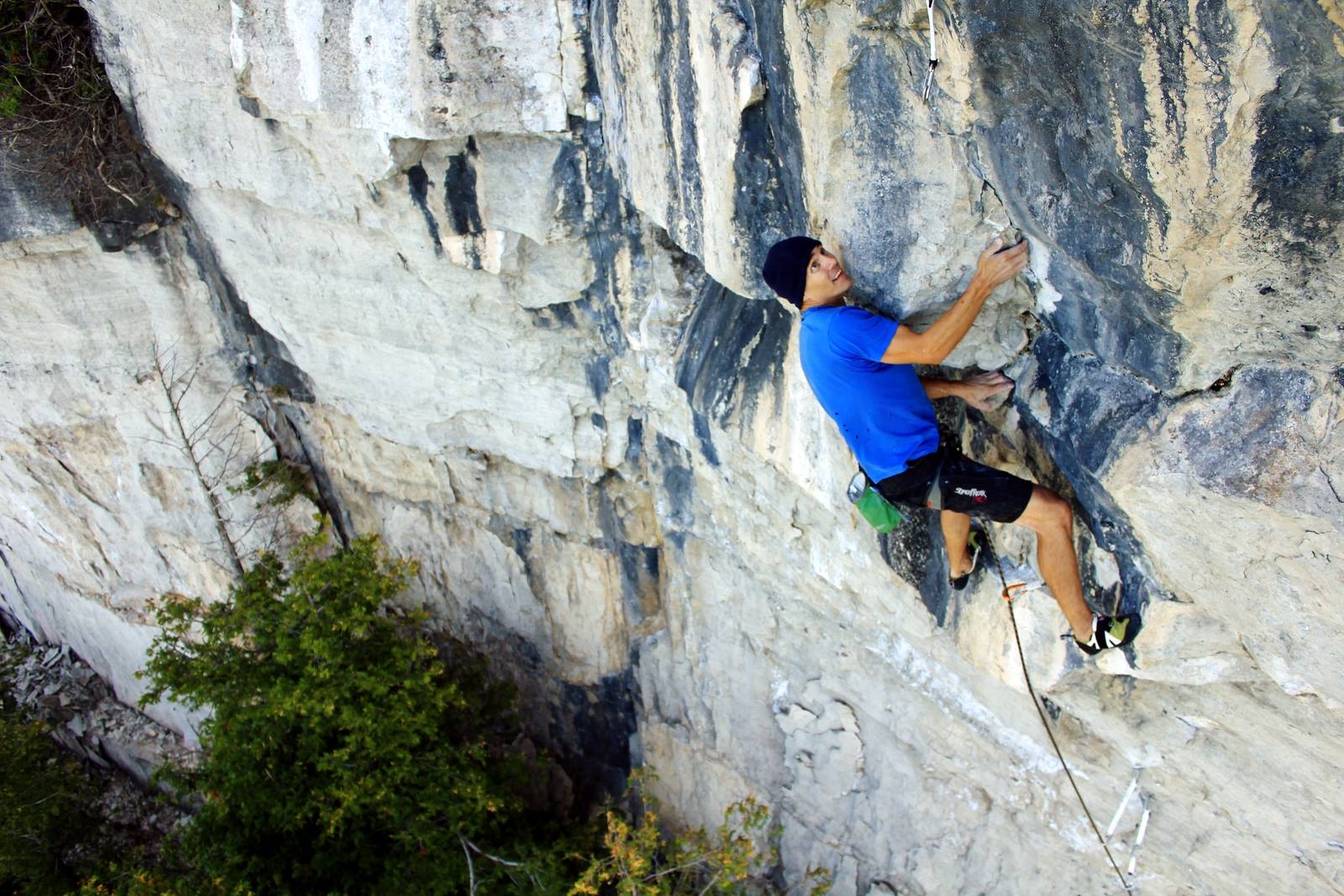 The New MustHave Online Lion's Head Guidebook Gripped Magazine