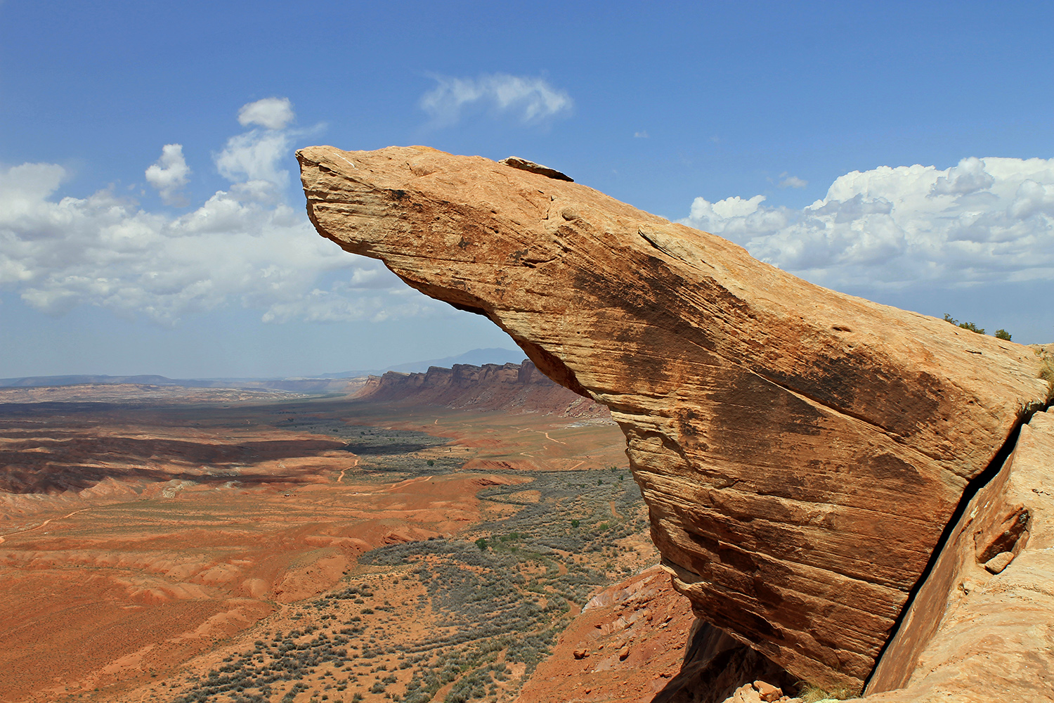 Patagonia Pushes to Protect Bears Ears National Monument Gripped Magazine